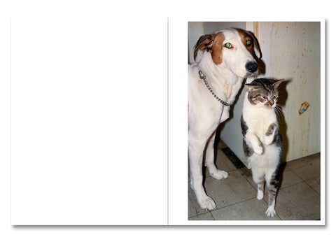 Ray's a Laugh Special Edition - MACK