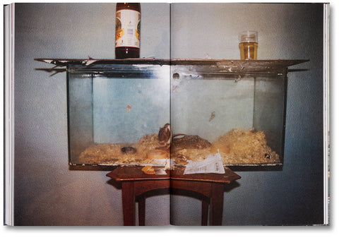 Ray's a Laugh - MACK