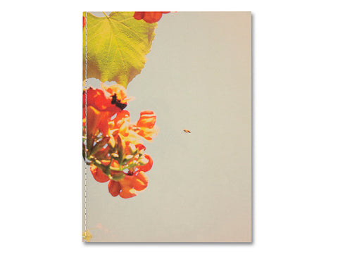 The things of the world are true / Somersault Special Edition - MACK