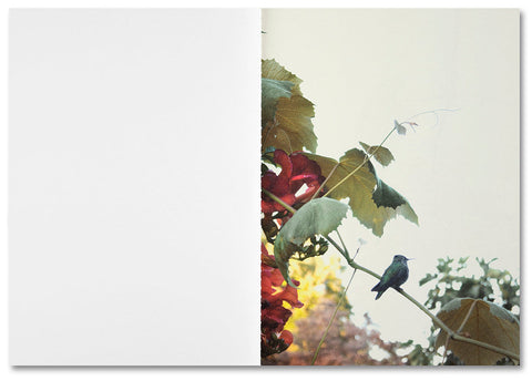 The things of the world are true / Somersault Special Edition - MACK
