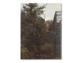 The things of the world are true / Somersault Special Edition - MACK