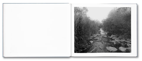 Rivers Run Through It - MACK