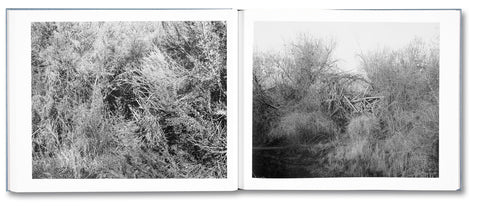 Rivers Run Through It - MACK