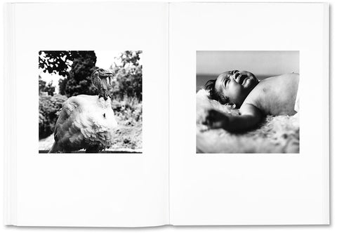The Shabbiness of Beauty - MACK