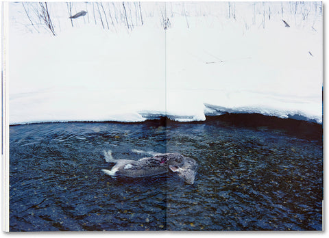 Trails  Takashi Homma - MACK