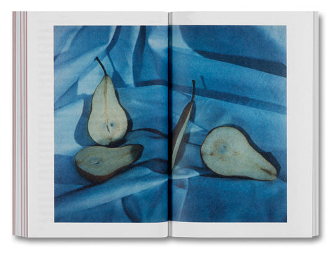 The Devouring Eye: Photography and the Mouth