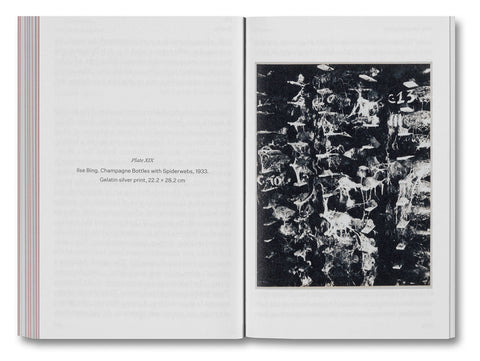 The Devouring Eye: Photography and the Mouth