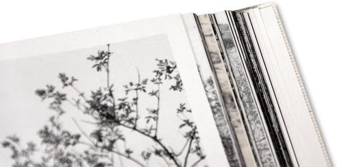 The Inhabitants [English edition] - MACK