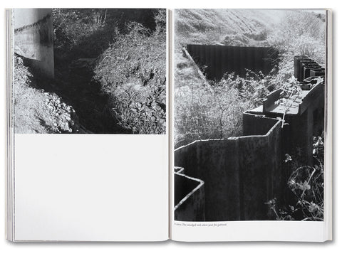 The Inhabitants [English edition] - MACK