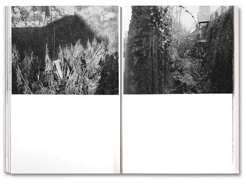 The Inhabitants [English edition] - MACK