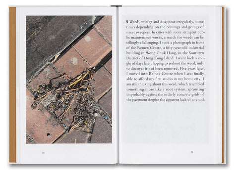 Weeds: A Germinating Theory