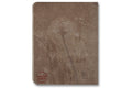 The Artist's Books Special Edition - MACK