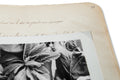 The Artist's Books Special Edition - MACK
