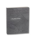 a Handful of Dust (First edition) <br> David Campany - MACK