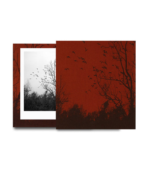 she dances on Jackson Special Edition  Vanessa Winship - MACK