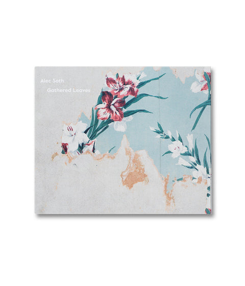 Alec Soth: Gathered Leaves Postcards - MACK