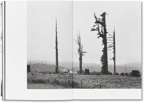 Day Sleeper (First Edition, Second Printing)  Dorothea Lange – Sam Contis - MACK