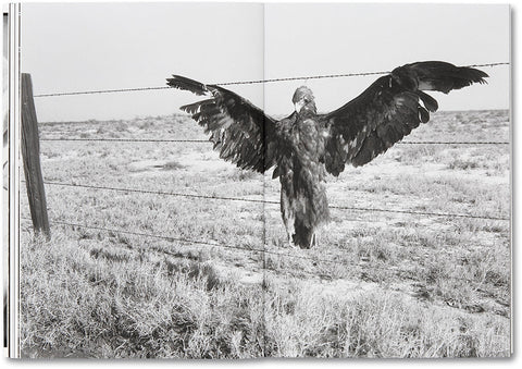 Day Sleeper (First Edition, Second Printing)  Dorothea Lange – Sam Contis - MACK