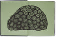 The Photography of Nature & The Nature of Photography <br> Joan Fontcuberta - MACK