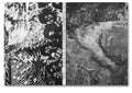 lick of tongue, rub of finger, on soft wound - MACK