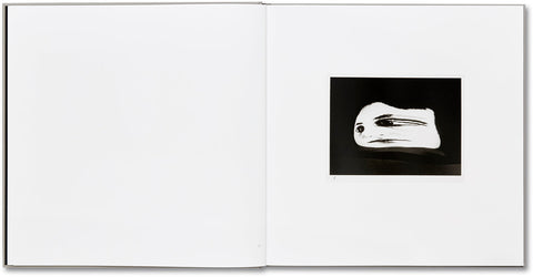 Lunario, 1968-1999  Guido Guidi - MACK