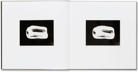 Lunario, 1968-1999  Guido Guidi - MACK