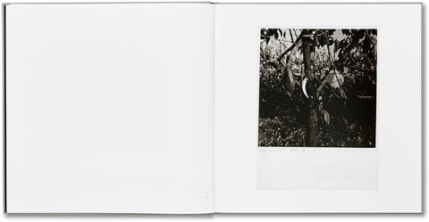 Lunario, 1968-1999  Guido Guidi - MACK