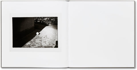 Lunario, 1968-1999  Guido Guidi - MACK