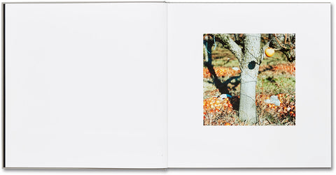 Lunario, 1968-1999  Guido Guidi - MACK