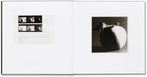 Lunario, 1968-1999  Guido Guidi - MACK