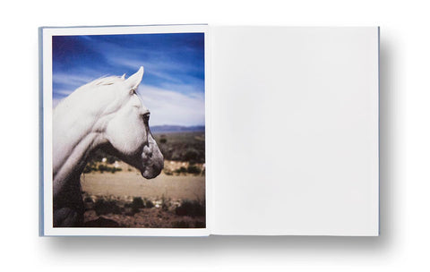 ZZYZX  Gregory Halpern (First edition, signed) - MACK