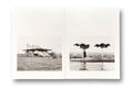 The Land in Between <br> Ursula Schulz-Dornburg - MACK