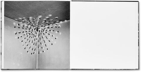 Vandalism  John Divola - MACK