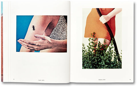 The Map and The Territory  Luigi Ghirri [Paperback] - MACK